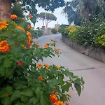 Cocos Park Ischia B&B Forio di Ischia