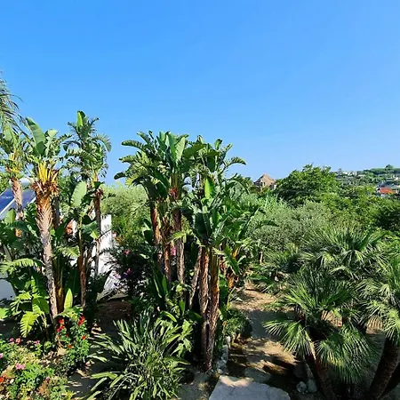 Cocos Park Ischia B&B Forio di Ischia