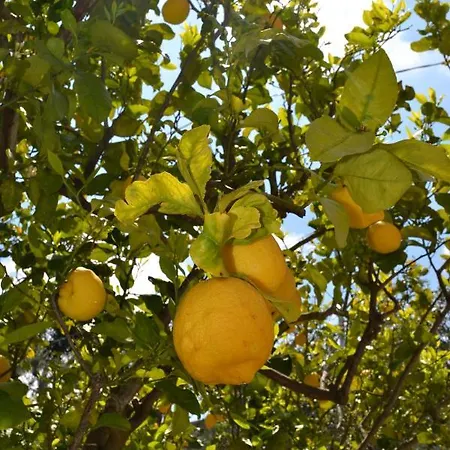 Frühstückspension Cocos Park Ischia 4*