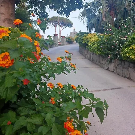 Cocos Park Ischia Frühstückspension Forio di Ischia