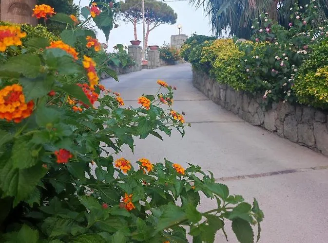 Cocos Park Ischia Nocleg ze śniadaniem Forio di Ischia