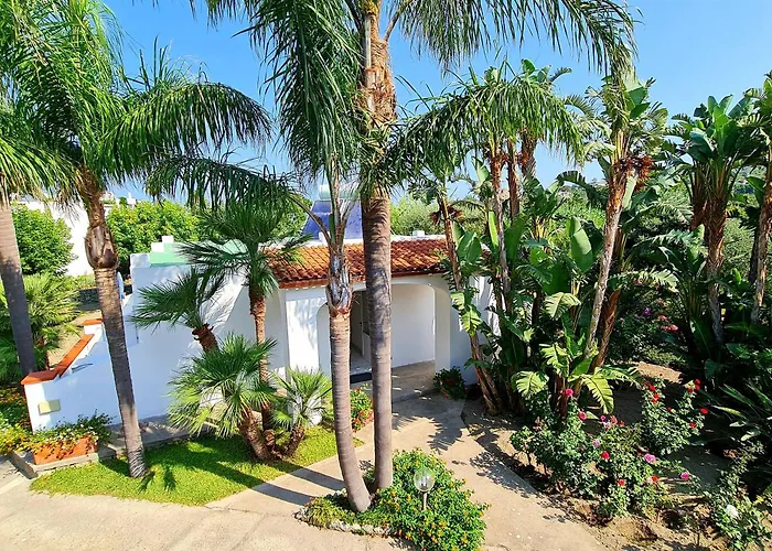 Nocleg ze śniadaniem Cocos Park Ischia Forio di Ischia