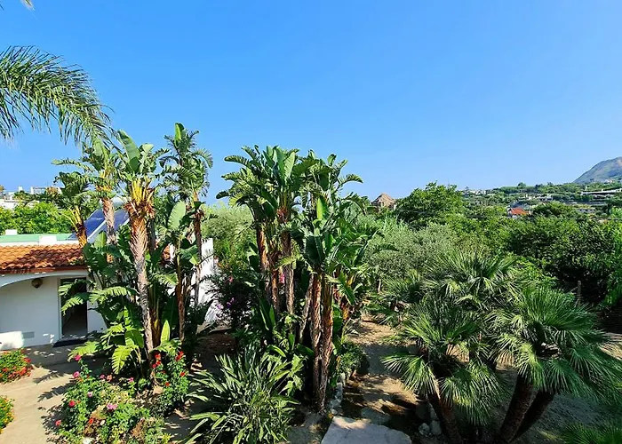 Cocos Park Ischia Nocleg ze śniadaniem Forio di Ischia